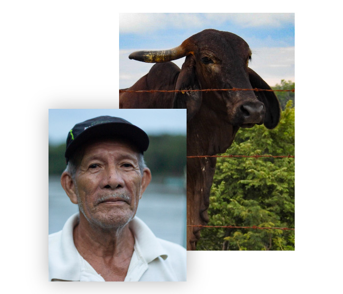 Chiapas_12