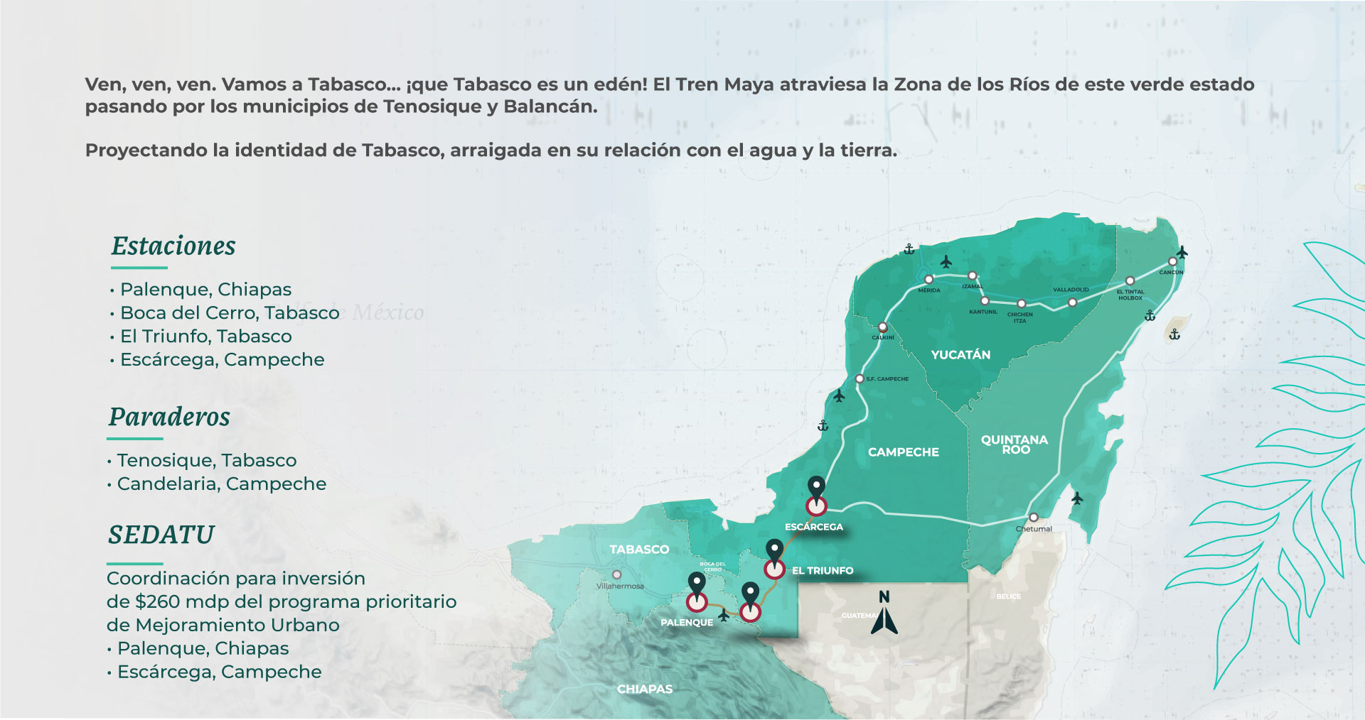 Tabasco_TM_cs61